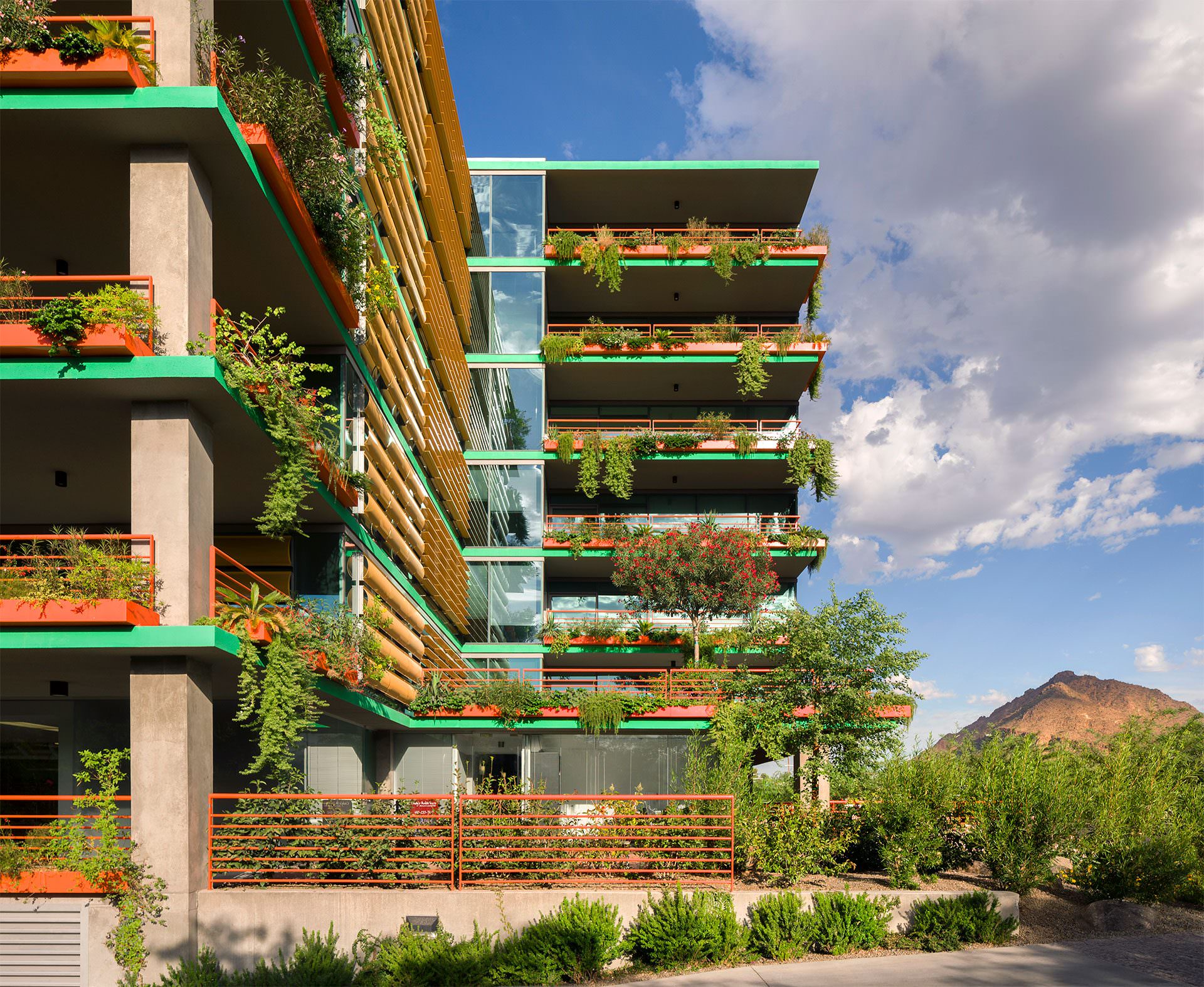 Optima Sonoran Village vertical landscaping system