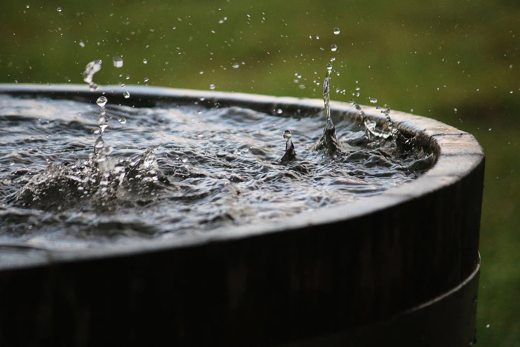 How Rainwater Harvesting Heals The Earth