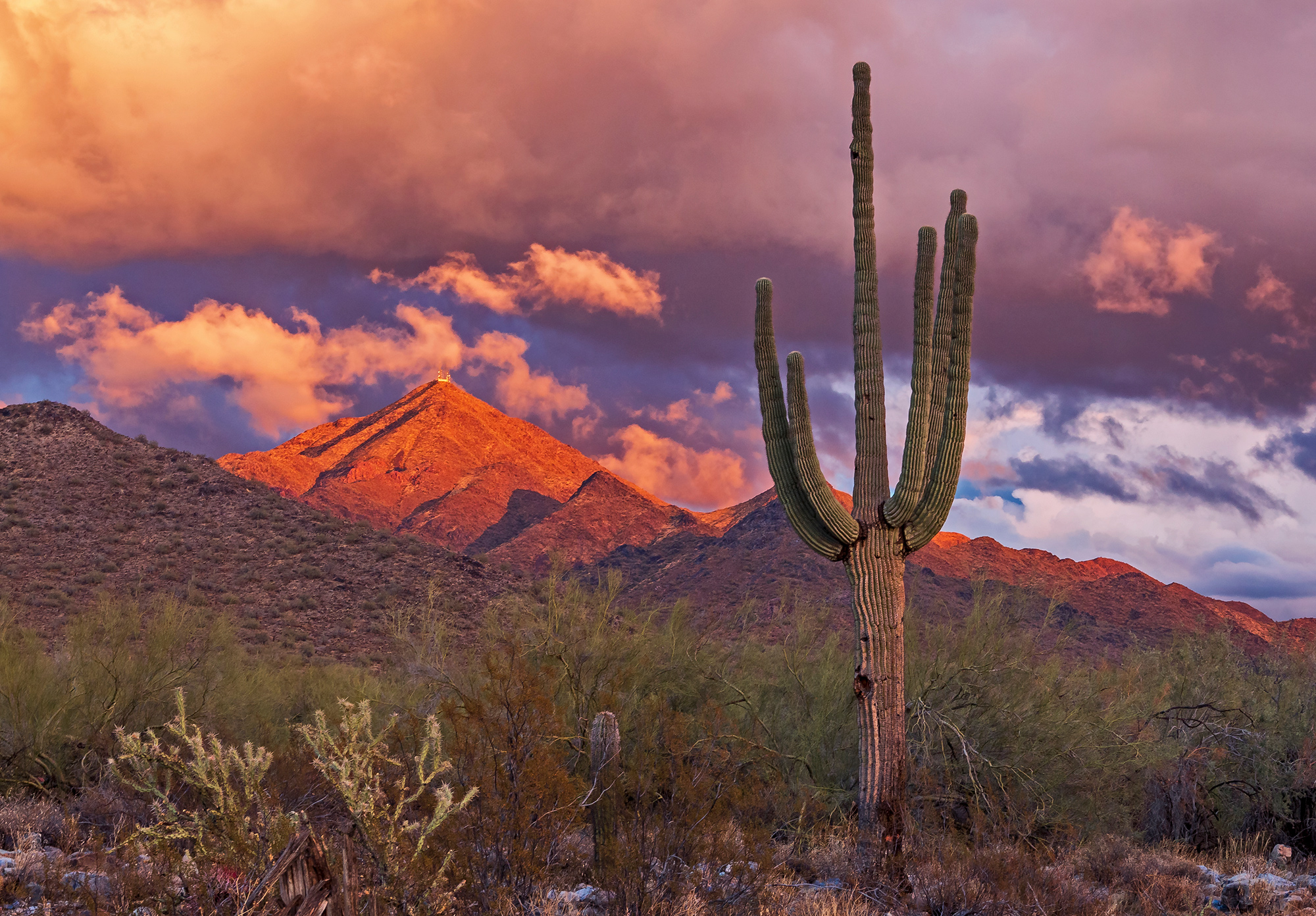 Work Smarter, Live Better: Optima® Scottsdale Communities Are Made for the Workcation Lifestyle