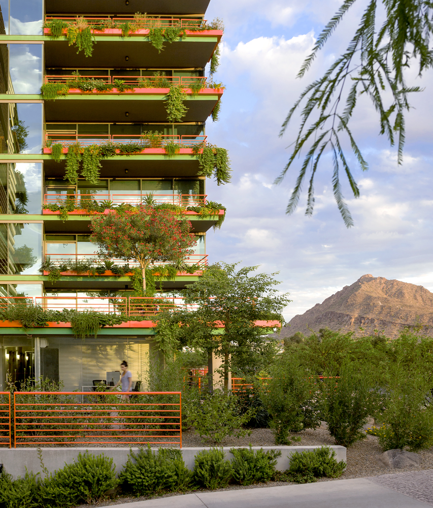 Juxtaposed facade and surrounding landscape at Optima Sonoran Village