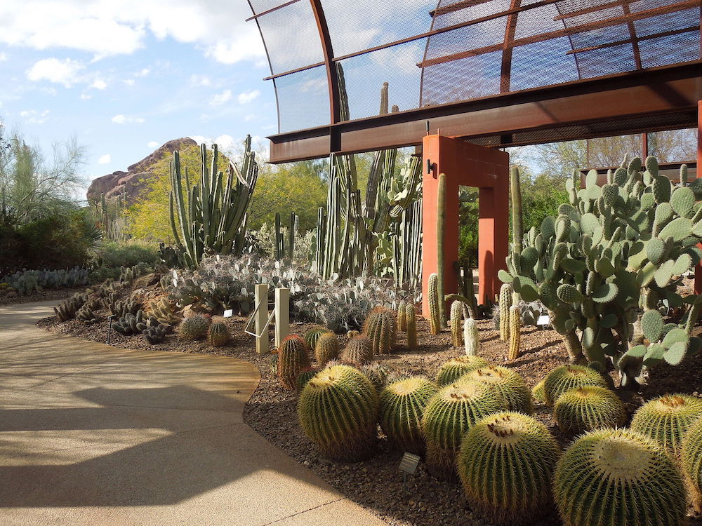 The Phoenix Desert Botanical Garden