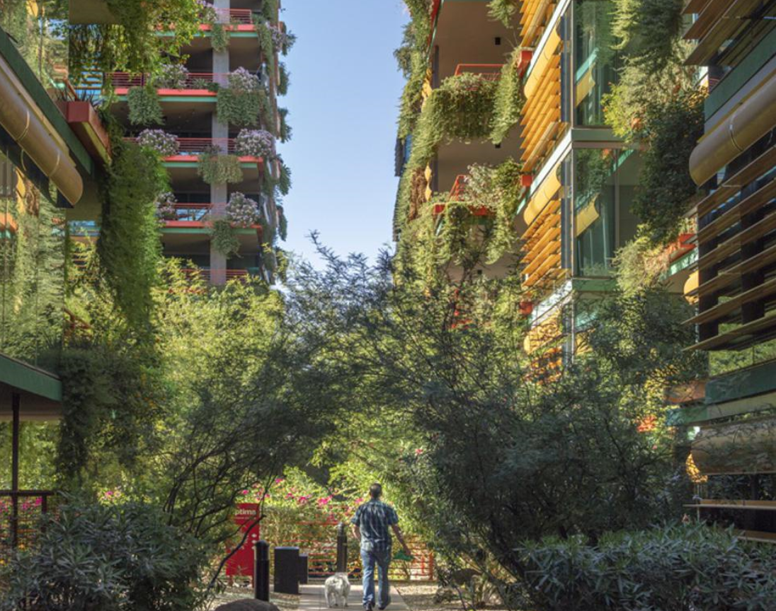 Well-Designed Outdoor Green Spaces Will Remain Popular In Post-Covid Residential Construction