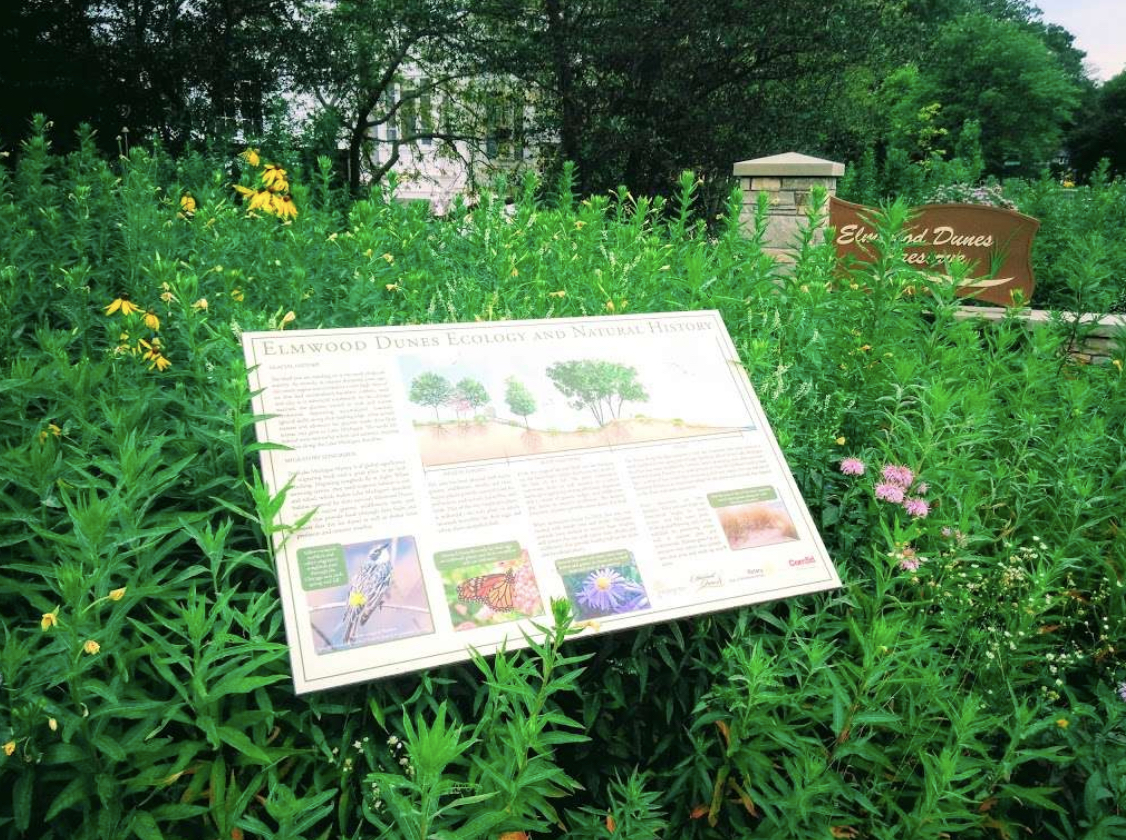 The Natural Splendor of Elmwood Dunes Preserve Optima