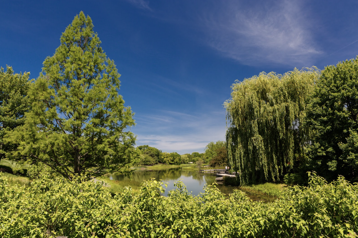 Exploring Wilmette: Chicago Botanic Garden