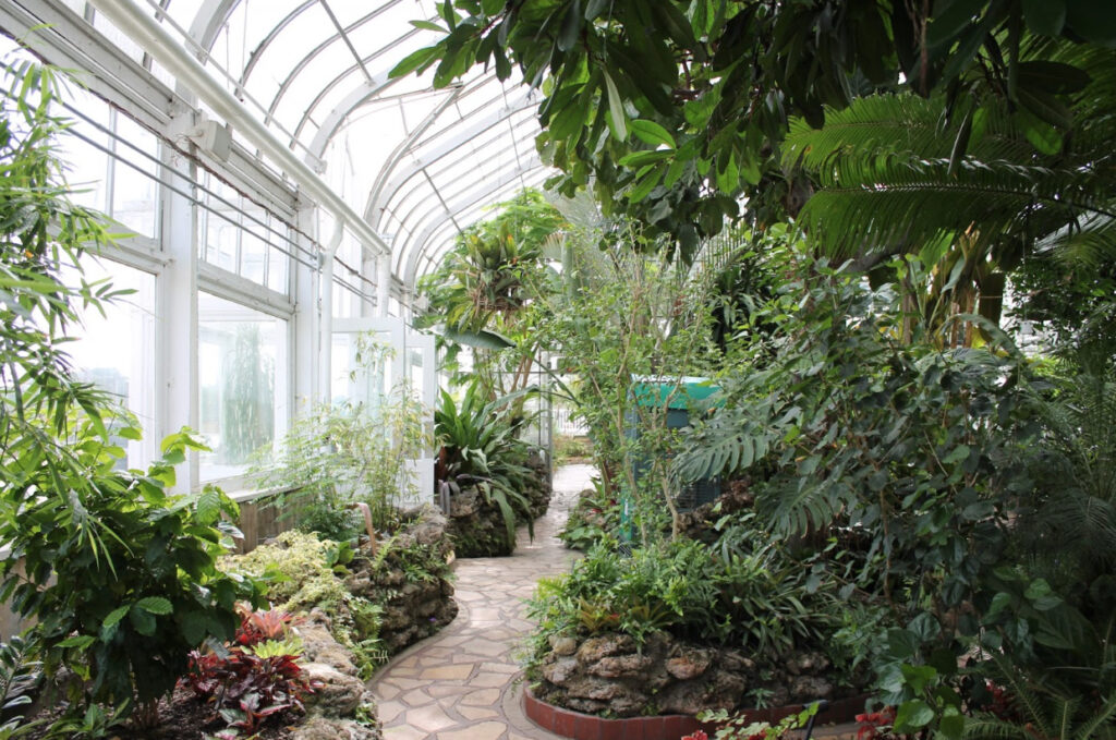 Exploring The Oak Park Conservatory Optima
