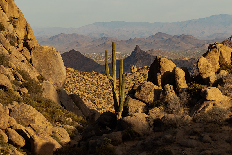 Discover the McDowell Sonoran Preserve