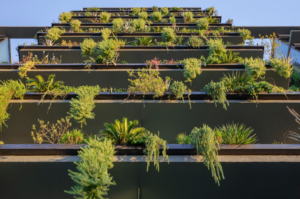 Optima’s signature vertical landscaping system at Optima Kierland Apartments